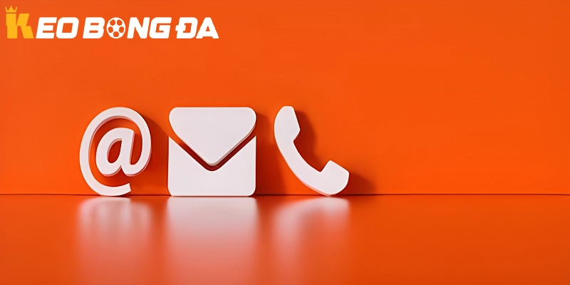 Một vài phương thức liên hệ phổ biến