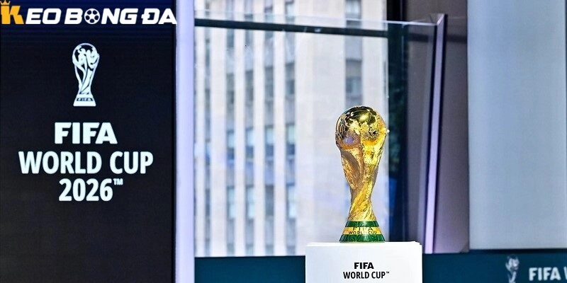 World Cup 2026 đánh dấu bước ngoặt lịch sử cả về quy mô lẫn cách tiếp cận của người hâm mộ